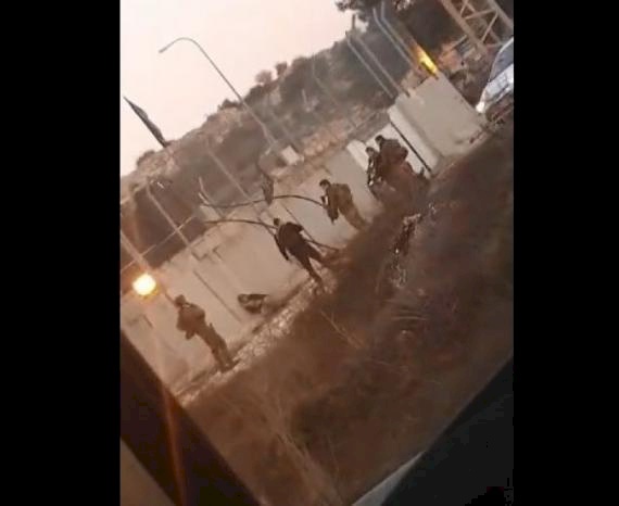 فيديو- الجيش الإسرائيلي يعتقل فتى قرب بيت لحم