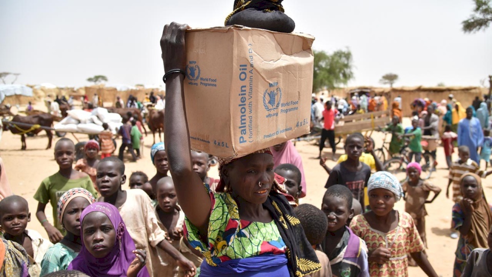 20 قتيلا في تدافع للحصول على مساعدات في النيجر