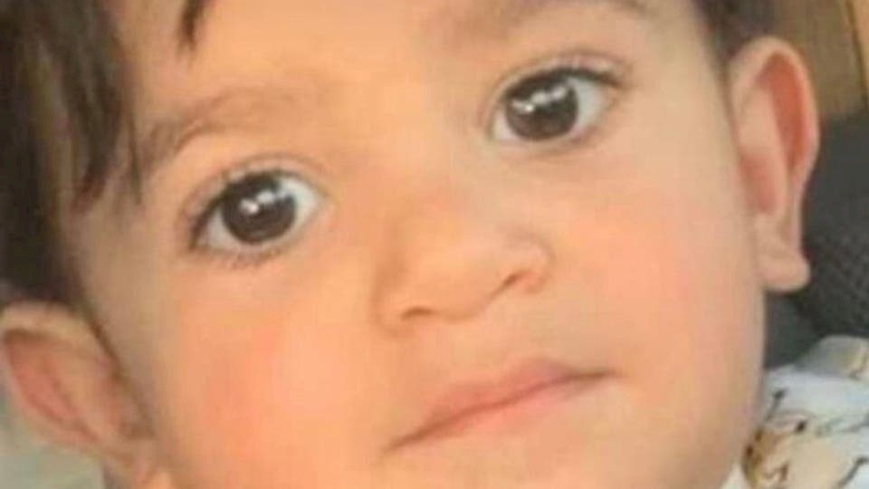 فاجعة بالسعودية.. كلاب ضالة تنهش طفلاً حتى الموت