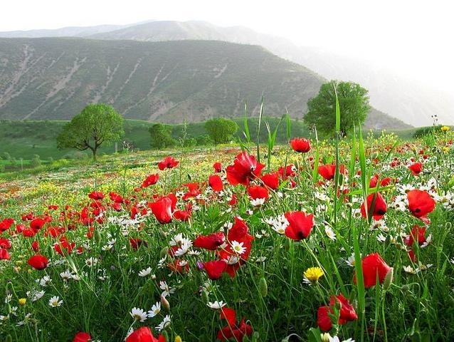 حالة الطقس: أجواء جميلة وصافية