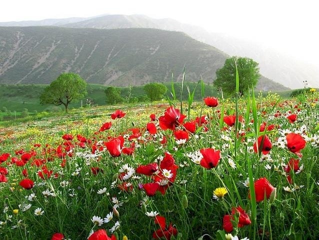 حالة الطقس: اجواء دافئة في مختلف المنطاق