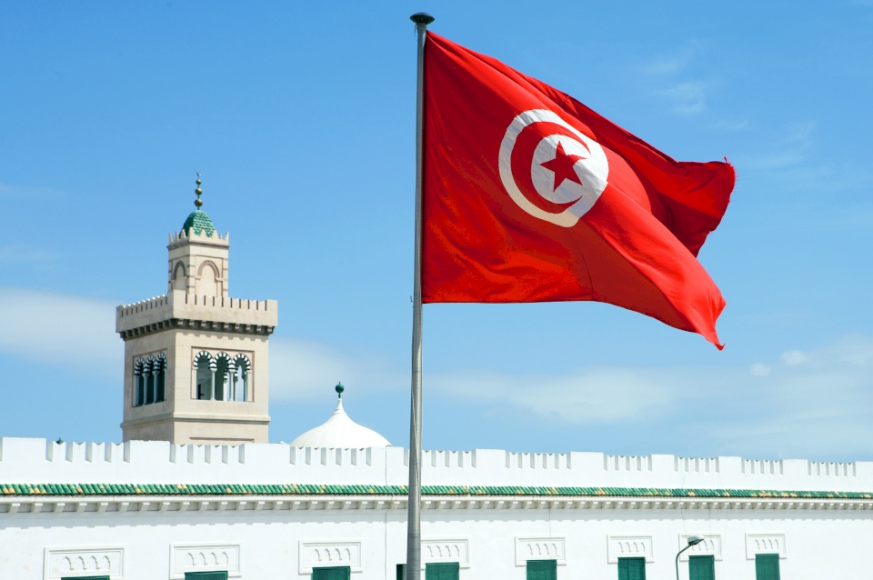 بريطانيا تكشف عن رؤيتها لحل الأزمة في تونس
