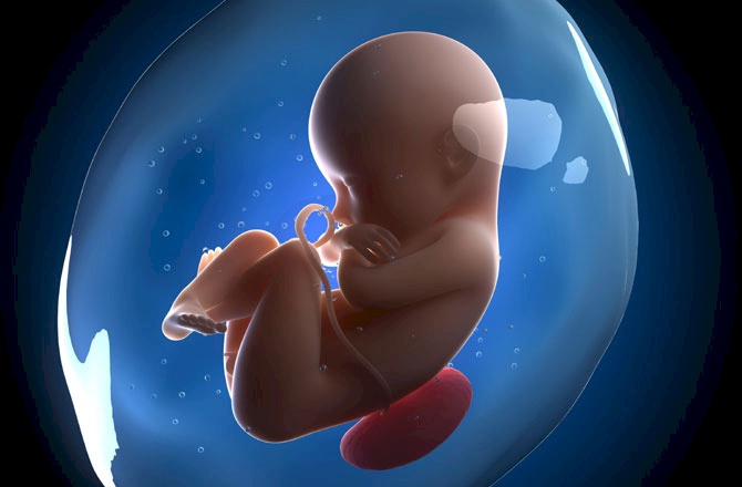 طفلة تختفي في رحم أمها وتترك لتوأمها ذكرى غريبة!