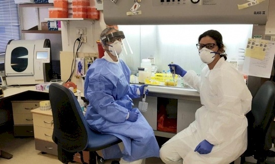 وزارة الصحة الإسرائيلية : ارتفاع عدد الإصابات بكورونا إلى 298