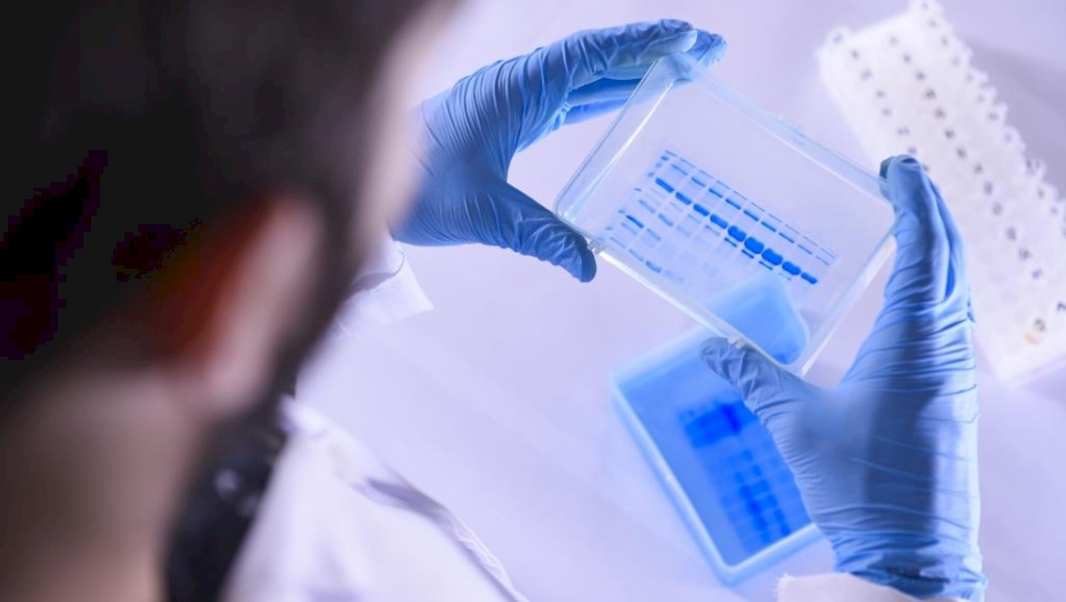 وزيرة الصحة: جهاز المخابرات سلمنا كمية من المسحات الخاصة بفحص كورونا