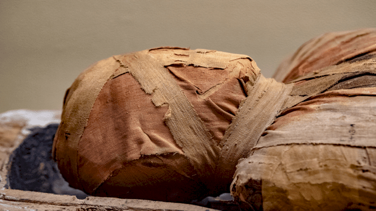 اكتشاف مدهش داخل نعش مومياء مصرية عمرها 3 آلاف عام!