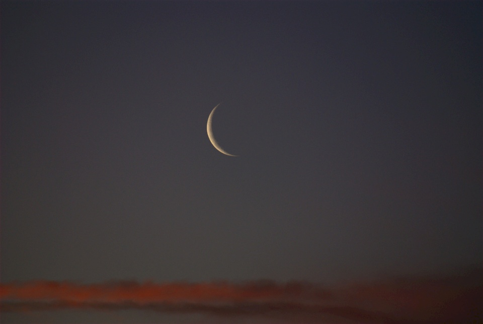 هل يجوز إفطار رمضان بسبب فيروس كورونا؟