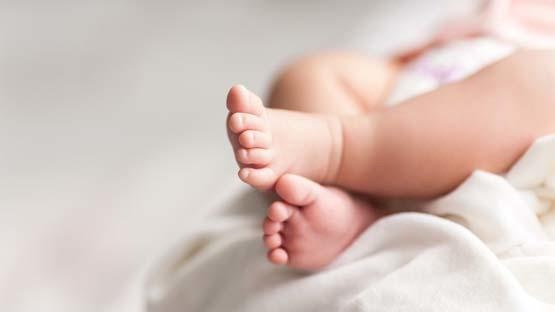 سيدة تركت رضيعا مع كلب وحدهما بالمنزل وخرجت للتسوق.. لن تصدق ماذا حدث