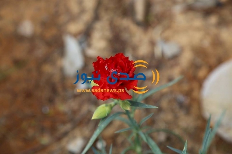 الطقس: ارتفاع على الحرارة اليوم وانخفاض غداً