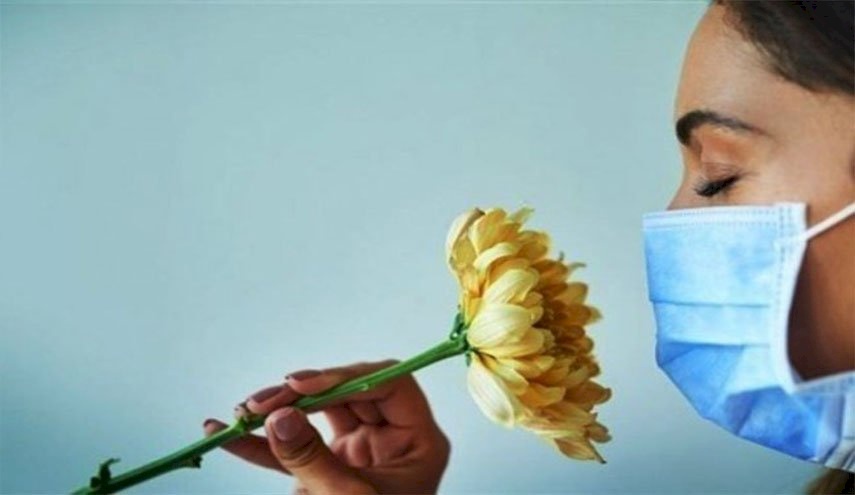 لماذا يفقد مصابو كورونا حاسة الشم؟