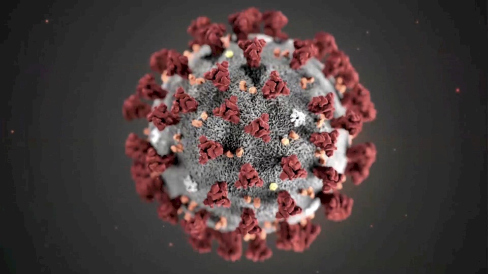 اللقاحات القديمة يمكن أن تقي من فيروس كورونا
