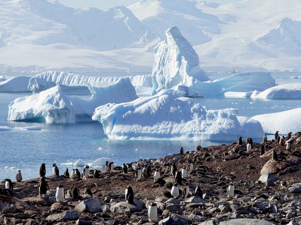 حرارة القطب الجنوبي ترتفع بأكثر من ثلاثة أضعاف المعدل العالمي