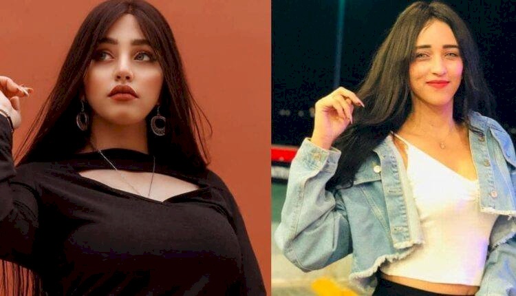 اعترفت بممارسة الرذيلة بمقابل مادي.. من هي ريناد عماد المقبوض عليها بمصر؟