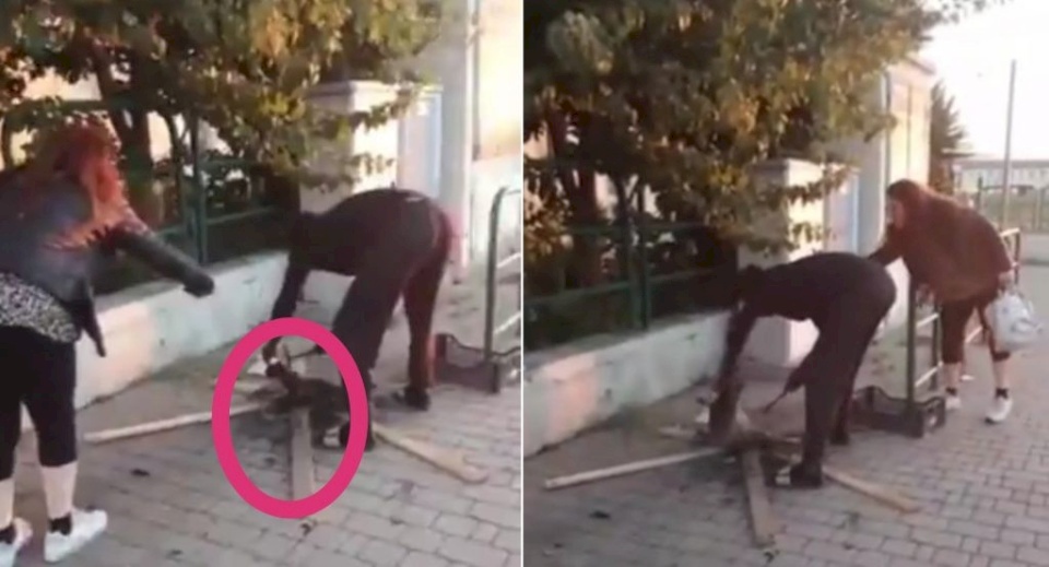 فيديو:  رجل يشوي قطة في الشارع في مشهد وحشي مخيف