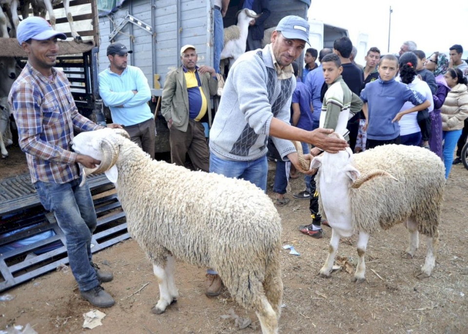 الجمعية الفلكية الفلسطينية تُعلن موعد عيد الأضحى