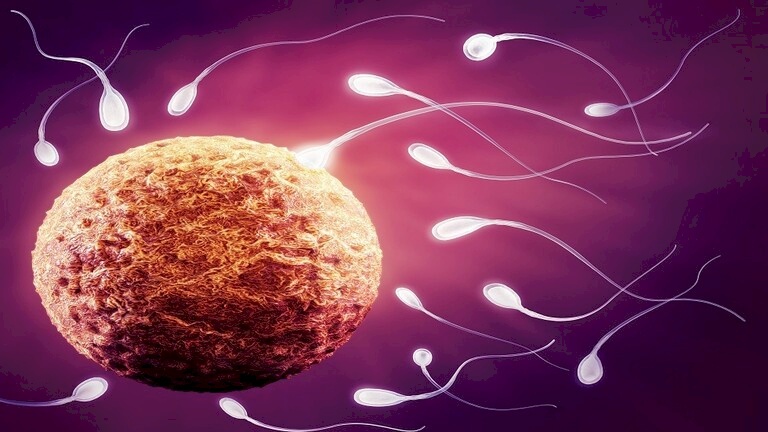 العلماء: خطوة مهمة في علاج عقم الرجال