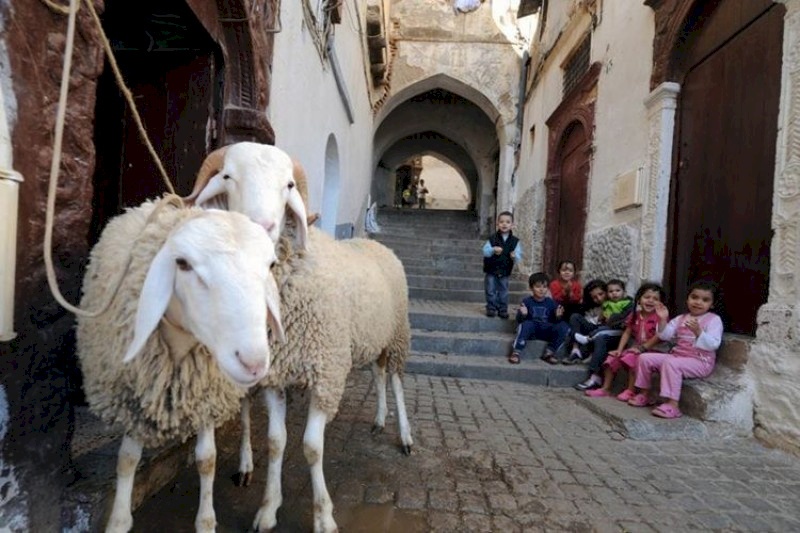 مصادر تكشف: لا إغلاقات في العيد وهكذا ستكون العطلة