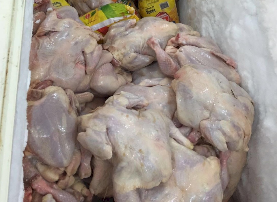 الأردن: توضيح بخصوص استيراد الدجاج الفاسد من أوكرانيا