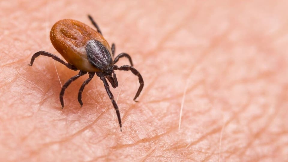 بلا دواء أو لقاح.. فيروس جديد في الصين يقتل 7 أشخاص