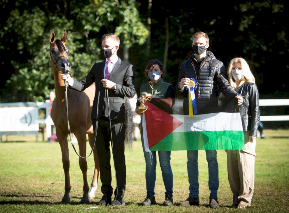 إنجاز فلسطيني في مسابقة عالمية مرموقة للخيول الأصيلة