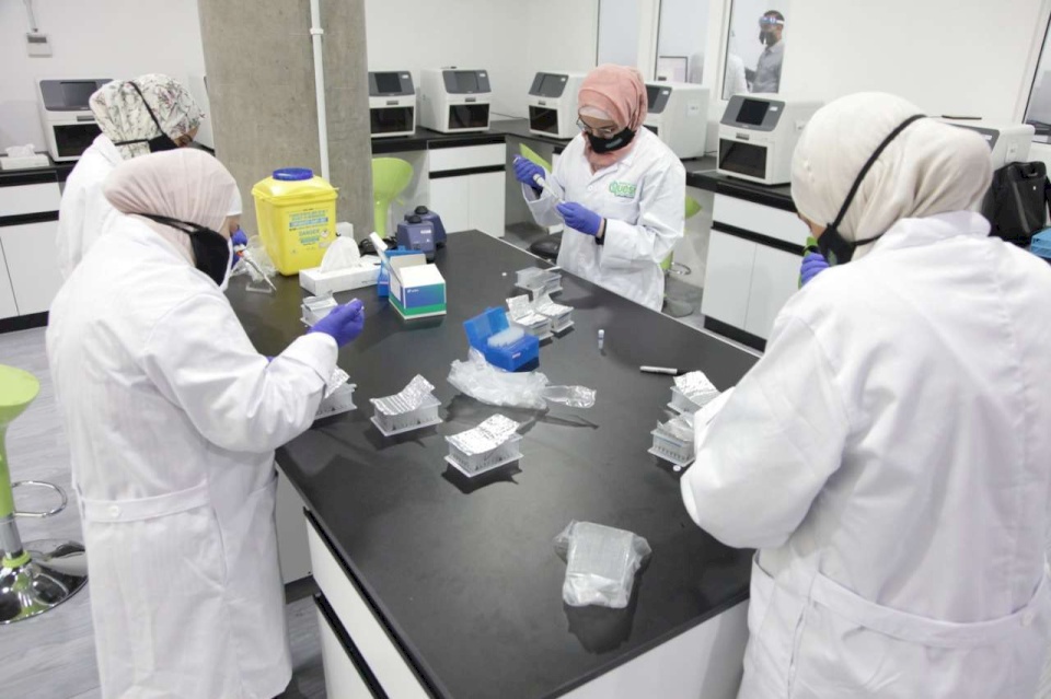 الأردن: تسجيل 239 إصابة جديدة بفيروس كورونا 