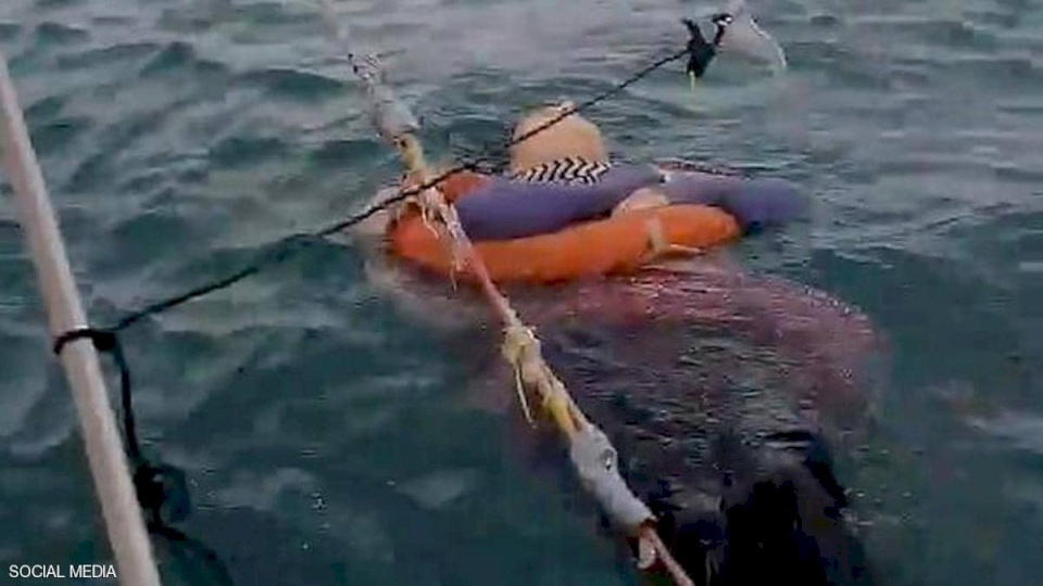 فيديو: العثور على امرأة حية وسط البحر بعد عامين من اختفائها