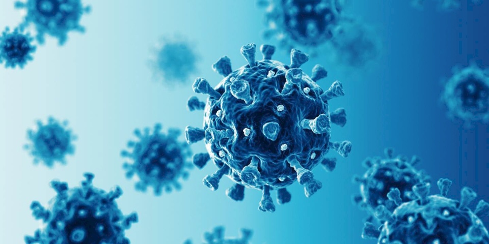 دراسة تربط بين الأحمال الفيروسية بكورونا ومعدل الوفيات
