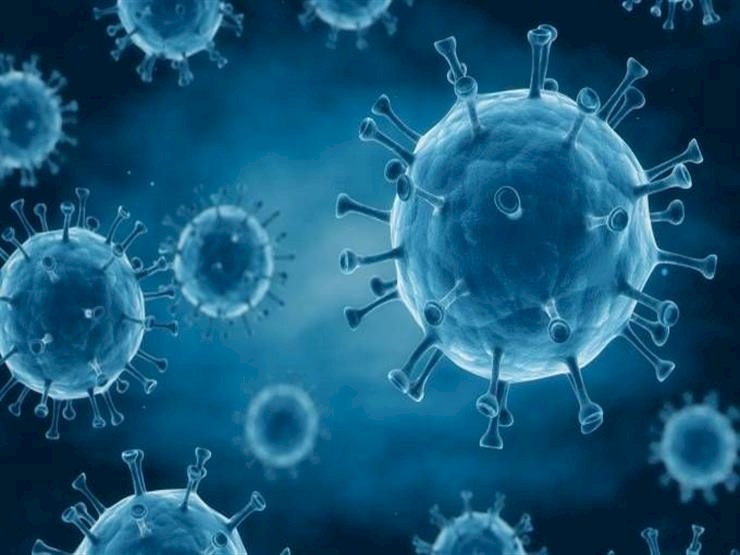 دراسة عمرها 35 عاما تلمح إلى أن مناعة فيروس كورونا لا تدوم طويلا!
