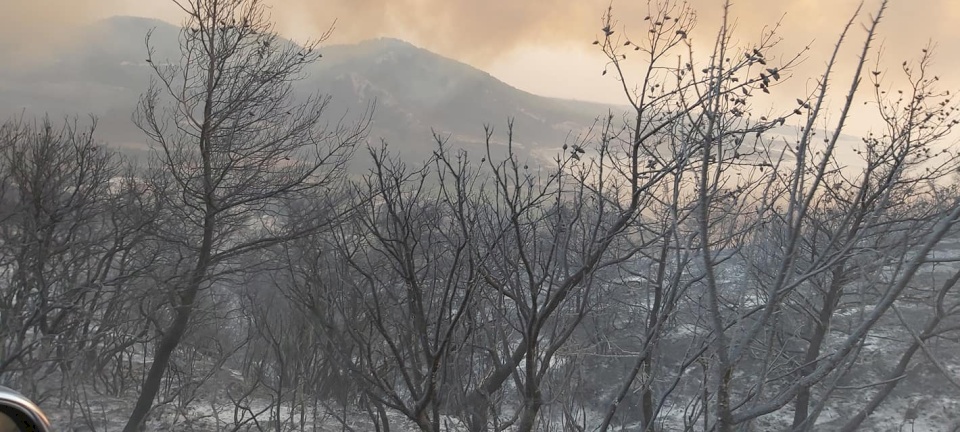 سوريا تعلن إخماد كافة الحرائق البالغ عددها 156