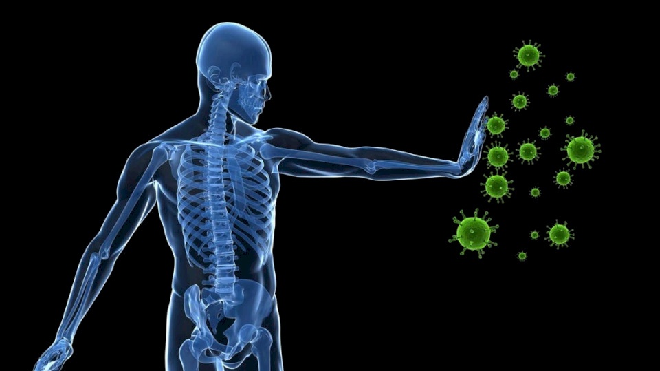مصيبة عن متعافي كورونا.. مضادات تهاجم الجسم بدل الفيروس