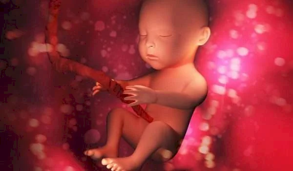 Une étude prouve la capacité des enfants à distinguer les langues étrangères in utero