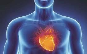 دراسة: 79% من المتزوجين مهددين بأمراض القلب