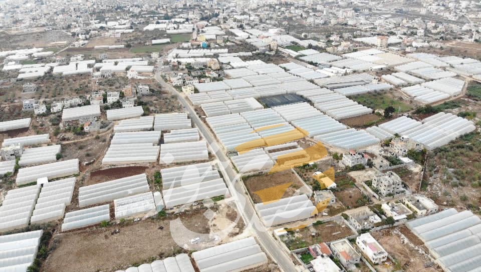 صدى نيوز تسلط الضوء على قضية خطيرة.. الأراضي الخصبة "تُزرع" بالإسمنت