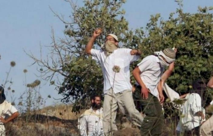 سابقة- تسجيل أول دعوى أمام القضاء الفلسطيني ضد مستوطن