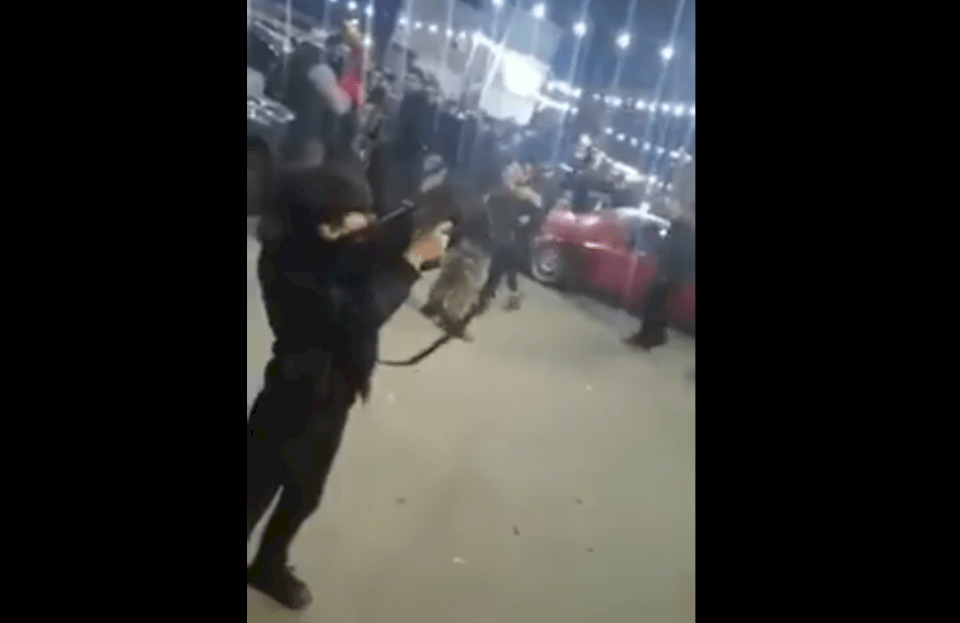 (شاهد) طفل يطلق النار من سلاح "أطول منه" والأمن يقبض على والده بالأردن