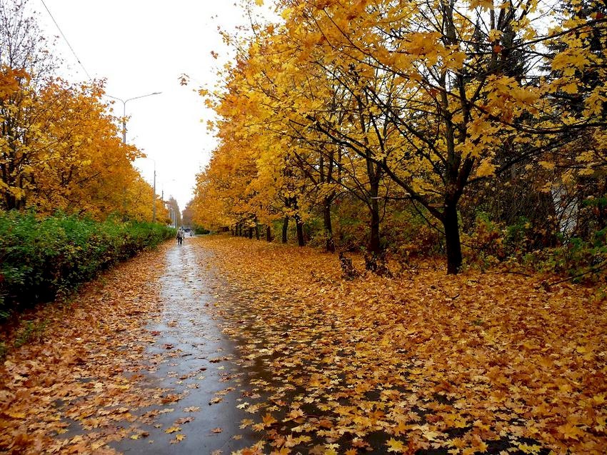 حالة الطقس: ارتفاع طفيف على درجات الحرارة