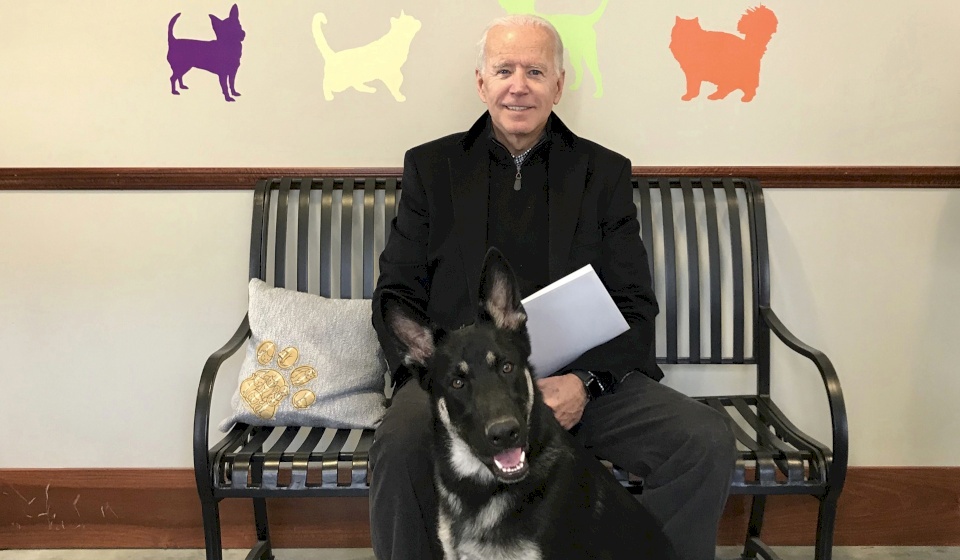 إصابة بايدن بكسر في قدمه أثناء اللعب مع كلبه!