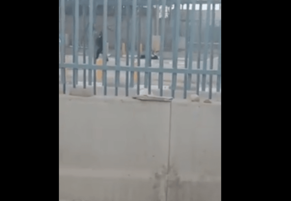 فيديو: إصابة شاب برصاص الاحتلال عند حاجز قلنديا