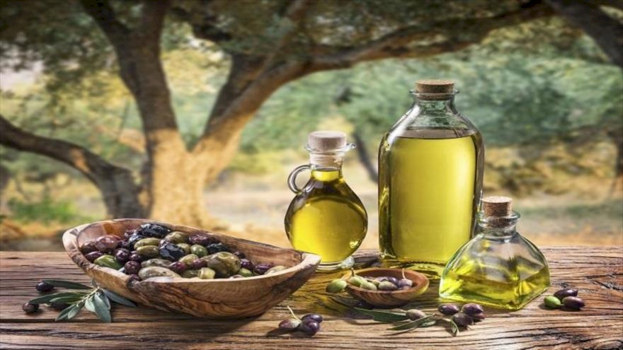 زيت زيتون محتل.. من المستوطنة إلى أبو ظبي