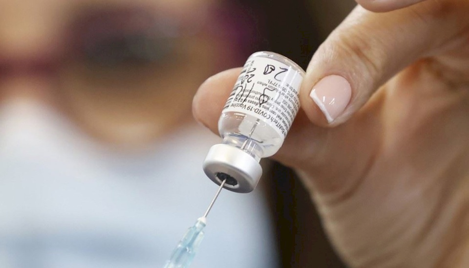 فتوى تنهي جدل "تحريم" استخدام مشتقات الخنزير لإنتاج لقاح كورونا