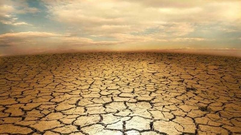 "الأعلى في التاريخ".. 2020 مرت و"مصائبها" لا تنتهي