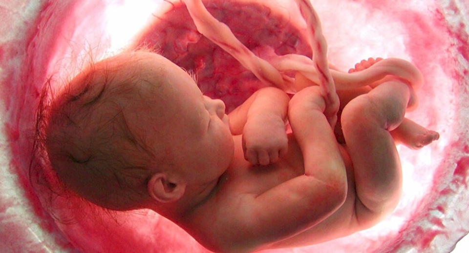 3 أشياء يميزها الجنين في بطن أمه قبل أن يولد