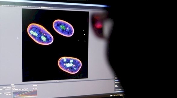 علماء صينيون يطورون علاجاً جينياً يؤخر الشيخوخة