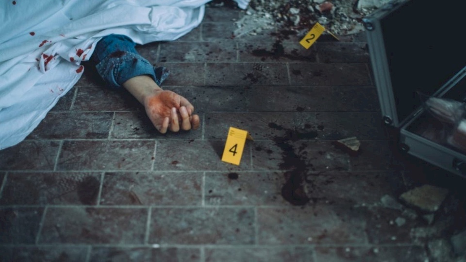 ألقى بها من الدور السابع.. إحالة قاتل حفيدة "القذافي" للجنايات بمصر