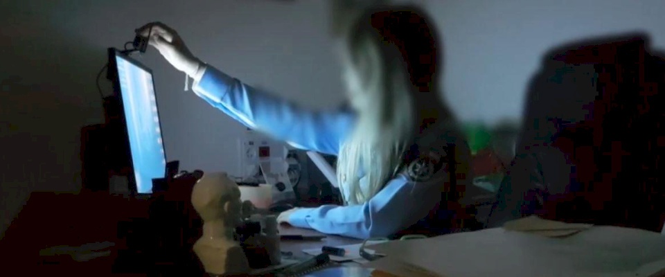 عبر عميلة سرية.. كشف شبكة تحرش جنسي بالأطفال في "إسرائيل"