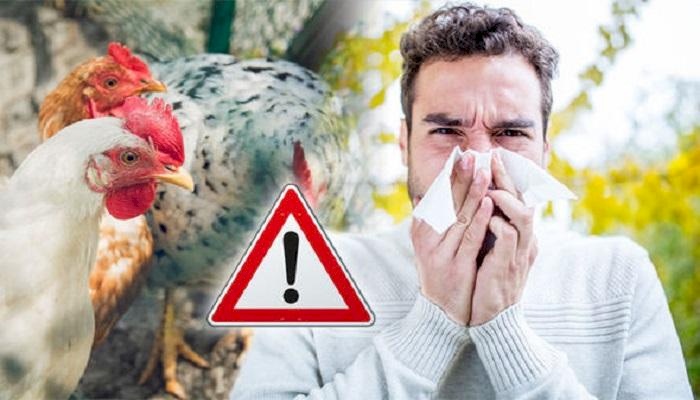 إنفلونزا الطيور تجتاج محمية طبيعية في موريتانيا .. هل ستعود مجددا؟