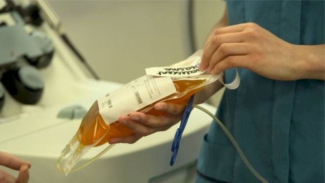 طبيب يحذر: بلازما دماء عربية لمتعافين من كورونا تباع بالسوق السوداء!