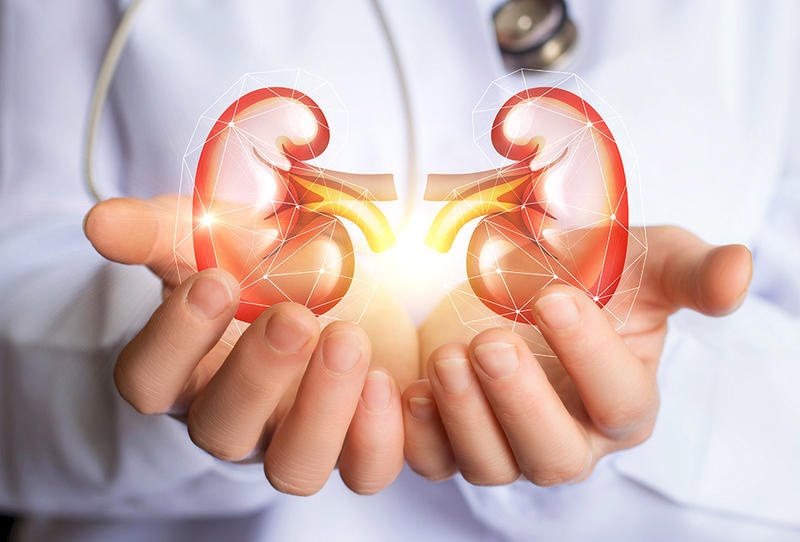 أسباب ألم الكلى المفاجئ وطرق علاجه