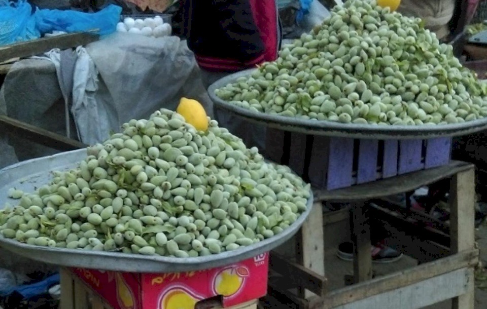 سعر كيلو اللوز الأخضر في أسواق فلسطين يصل لـ200 شيكل!