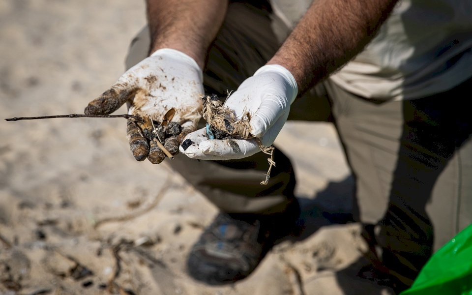 إسرائيل تتراجع: لا يمكن إثبات أن حادثة "القطران" عمل إرهابي
